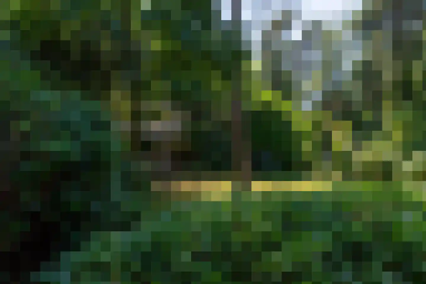 Amorijstraat 3 Arnhem thumbnail 34