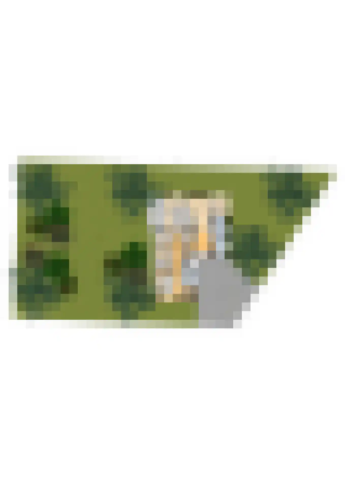 Amorijstraat 3 Arnhem thumbnail 47