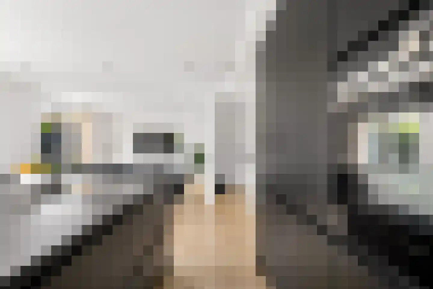 Amorstraat 6 Almere thumbnail 11