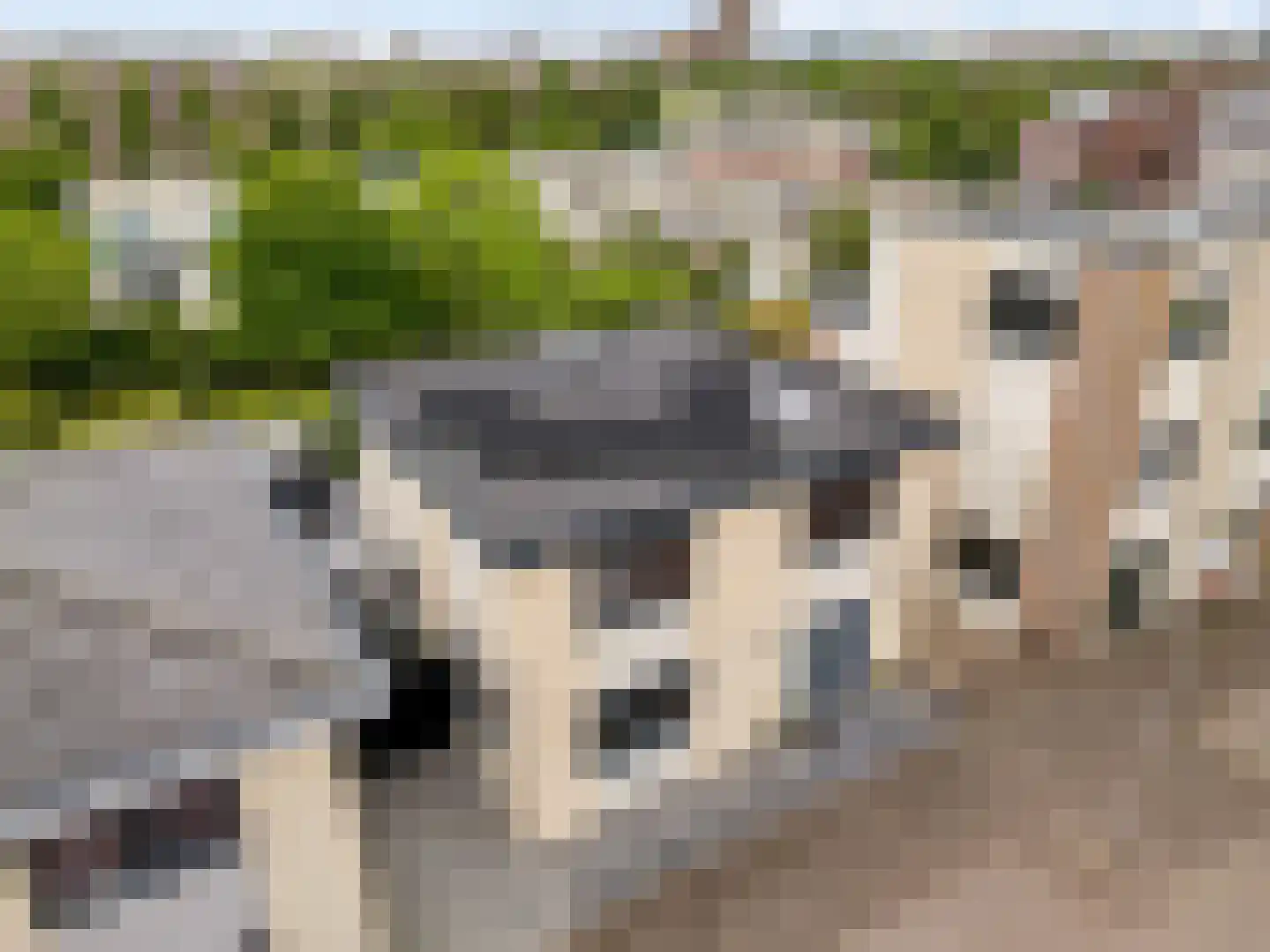 Amorstraat 6 Almere thumbnail 52