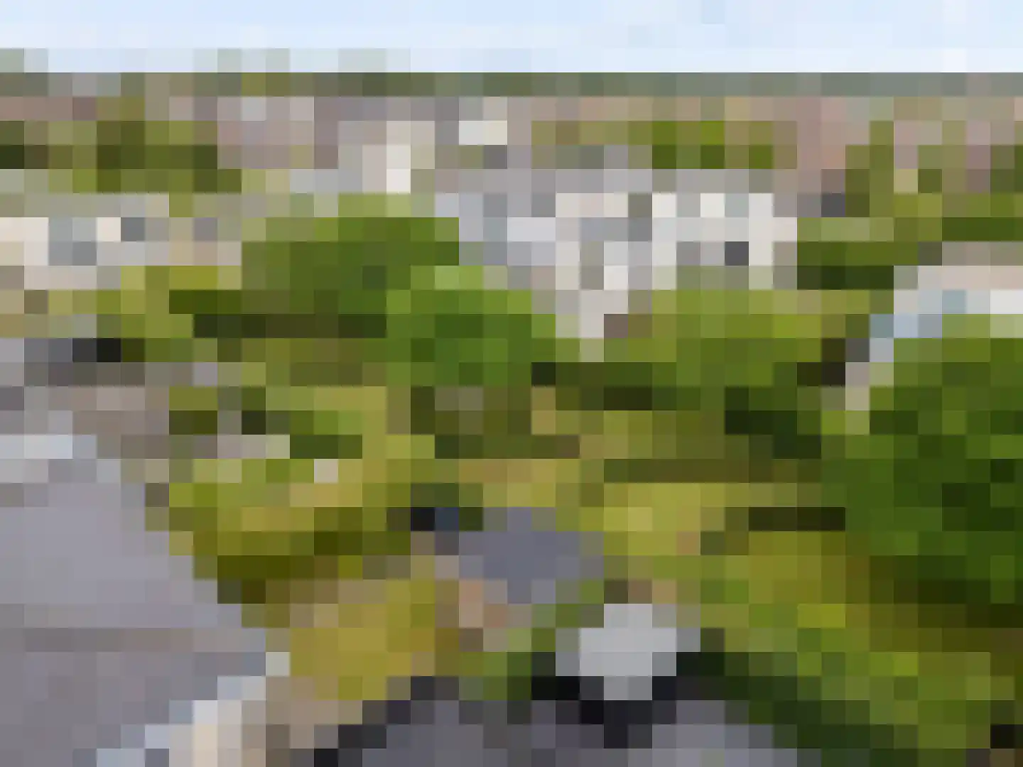Amorstraat 6 Almere thumbnail 55