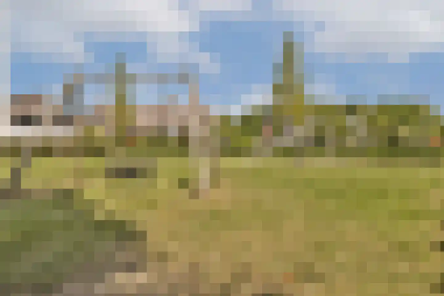 Amorstraat 6 Almere thumbnail 59