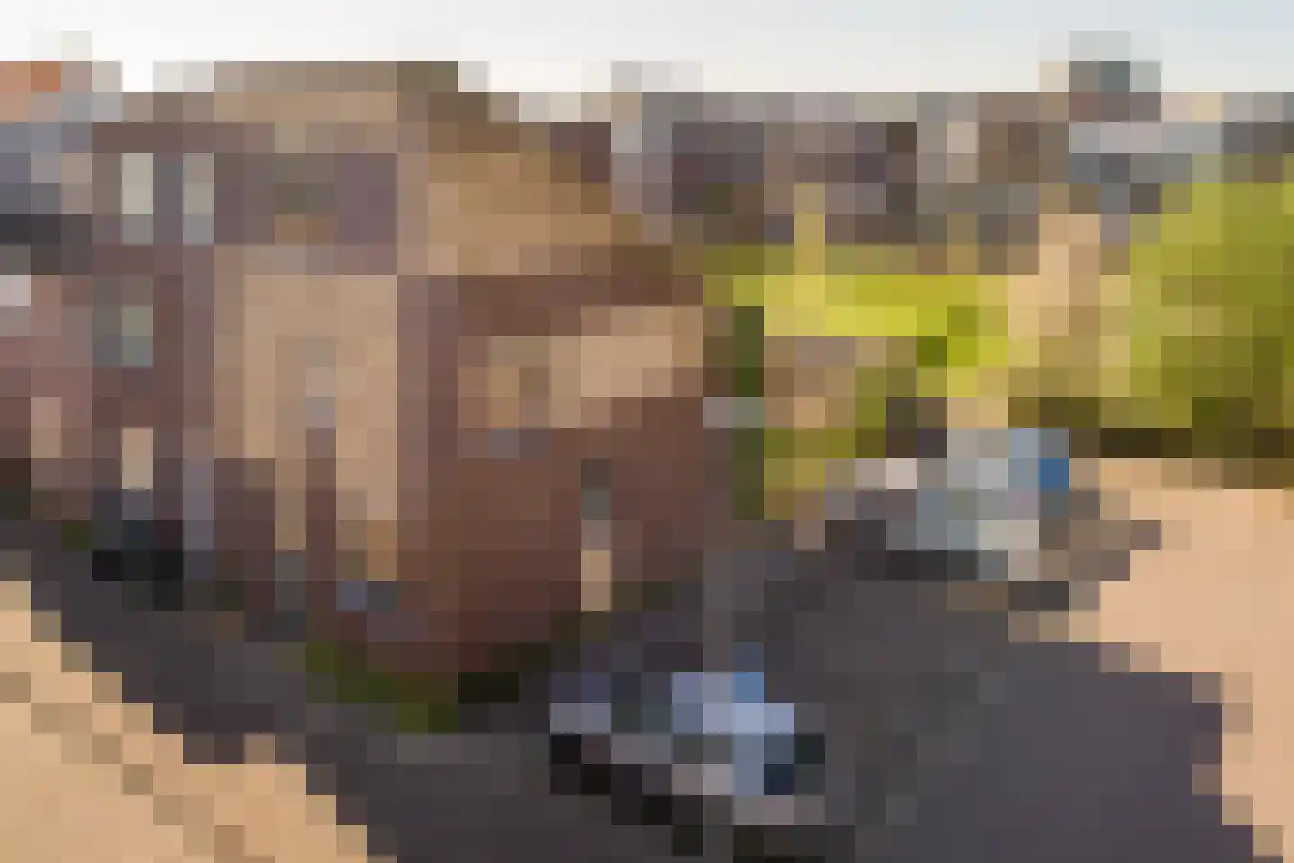 Amorstraat 9 Almere thumbnail 53