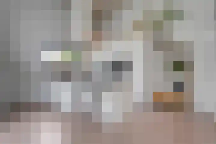 Ampère 7 Meppel thumbnail 10