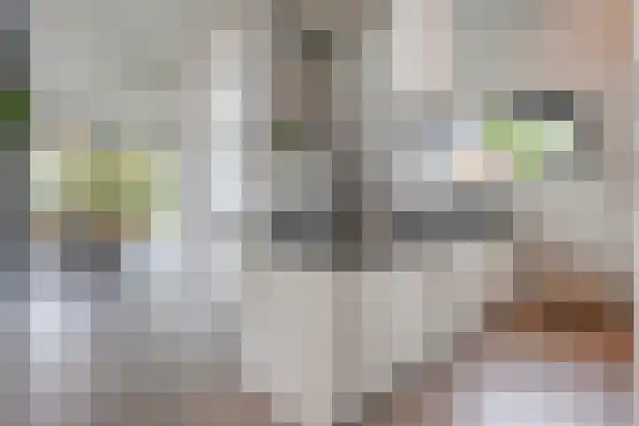 Ampère 7 Meppel thumbnail 11