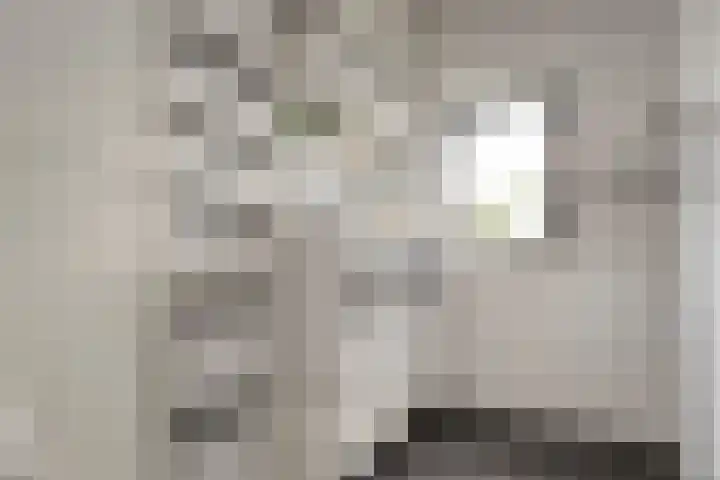 Ampère 7 Meppel thumbnail 13