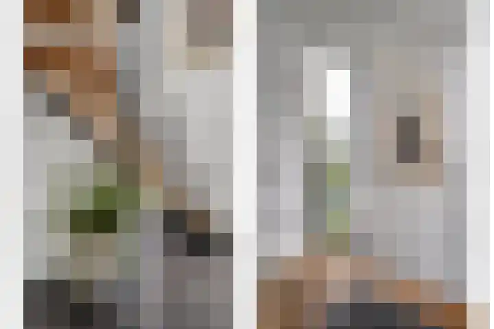 Ampère 7 Meppel thumbnail 14