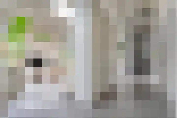 Ampère 7 Meppel thumbnail 15