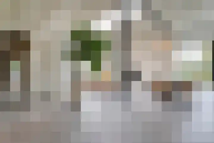 Ampère 7 Meppel thumbnail 17