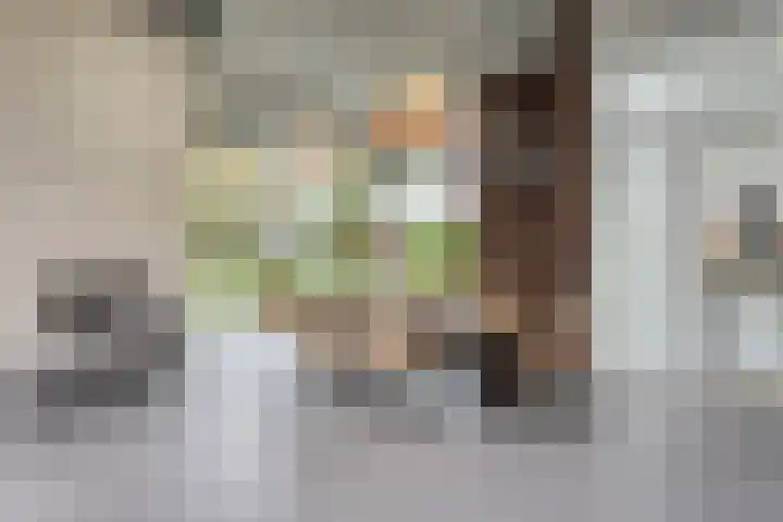Ampère 7 Meppel thumbnail 18