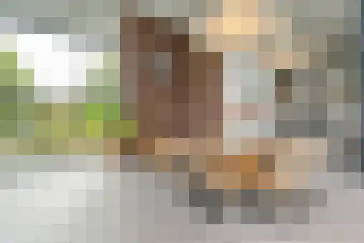 Ampère 7 Meppel thumbnail 19