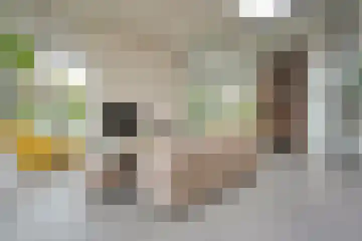 Ampère 7 Meppel thumbnail 22