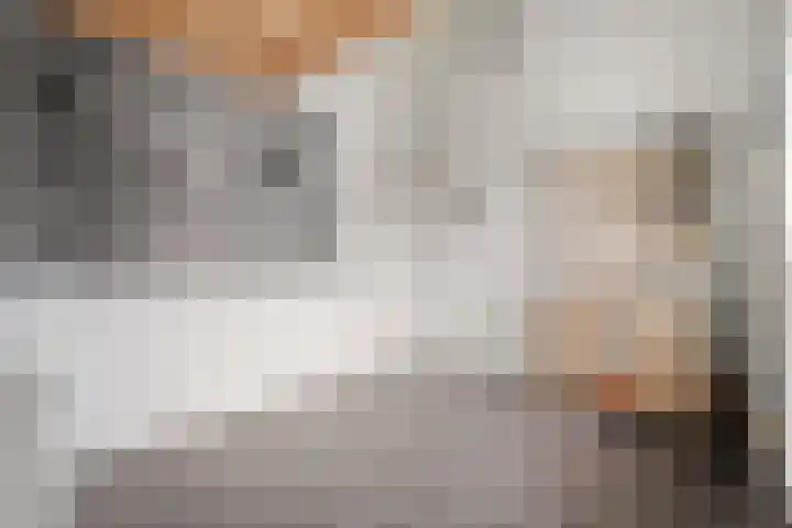 Ampère 7 Meppel thumbnail 24