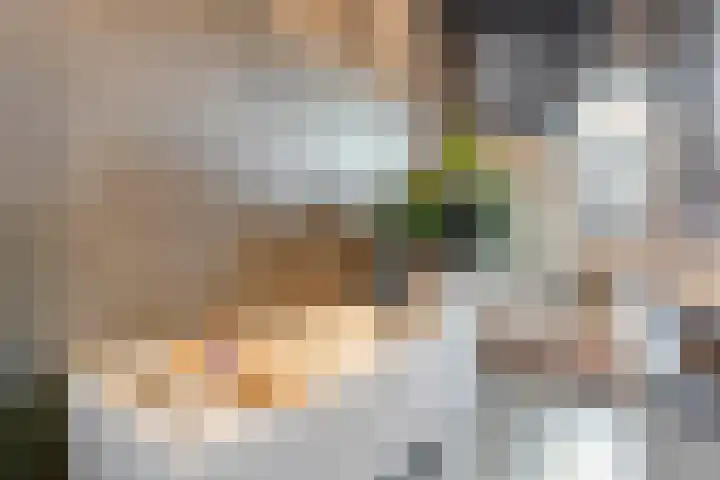 Ampère 7 Meppel thumbnail 25