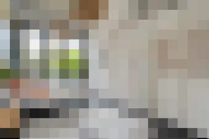 Ampère 7 Meppel thumbnail 29
