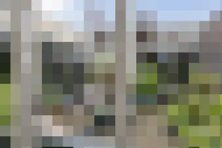 Ampère 7 Meppel thumbnail 31