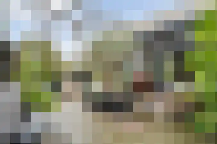Ampère 7 Meppel thumbnail 32