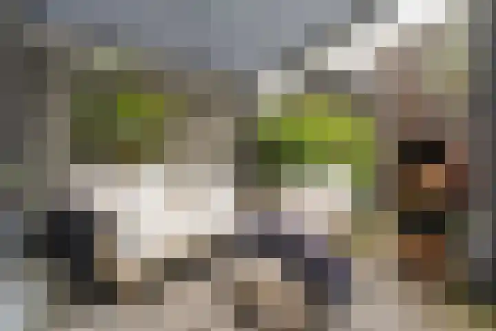 Ampère 7 Meppel thumbnail 34