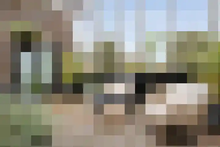 Ampère 7 Meppel thumbnail 36
