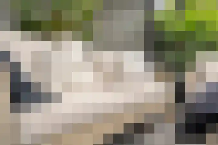 Ampère 7 Meppel thumbnail 37