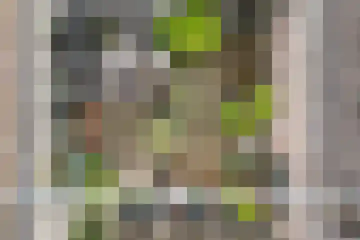 Ampère 7 Meppel thumbnail 38