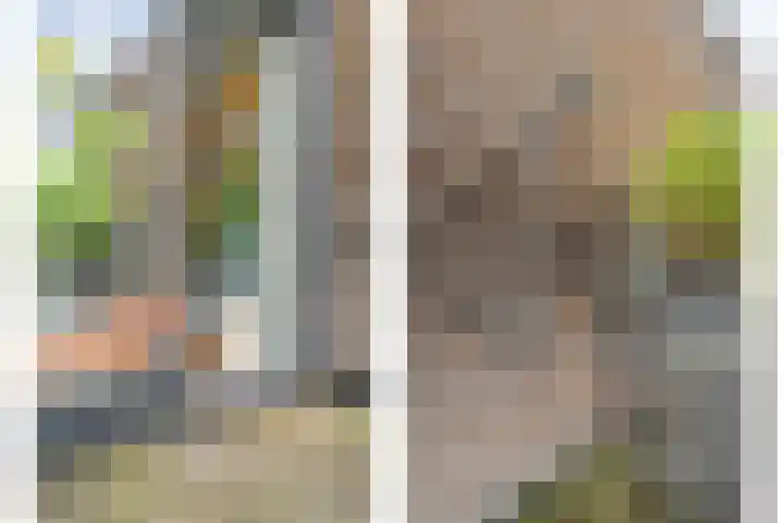 Ampère 7 Meppel thumbnail 39