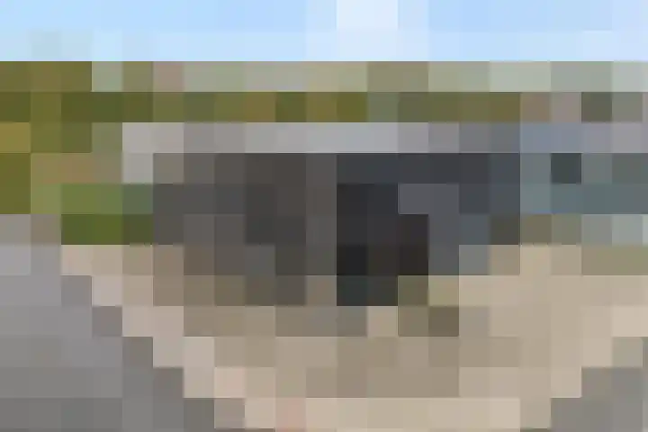Ampère 7 Meppel thumbnail 4