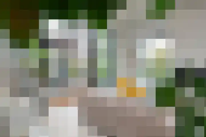 Ampère 7 Meppel thumbnail 40