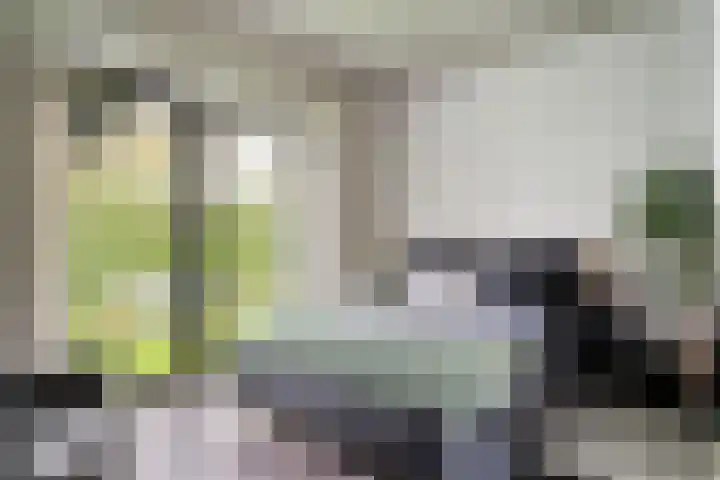 Ampère 7 Meppel thumbnail 41
