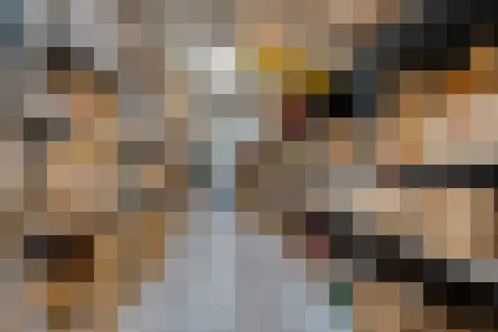 Ampère 7 Meppel thumbnail 48