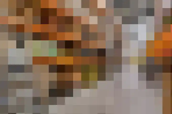 Ampère 7 Meppel thumbnail 49