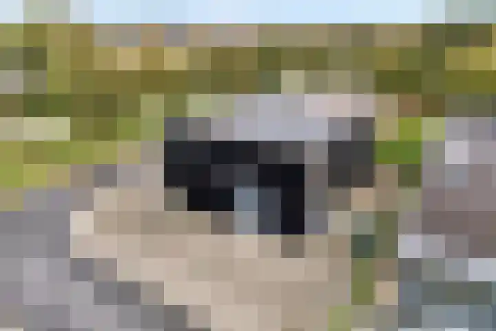 Ampère 7 Meppel thumbnail 5