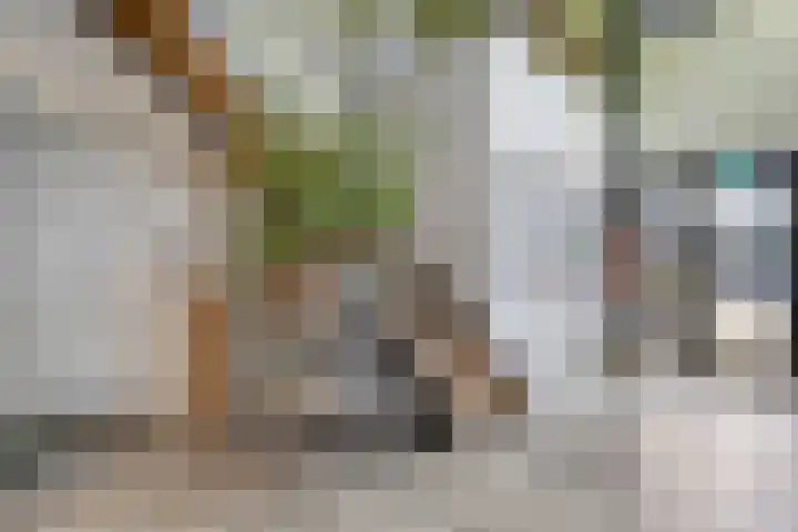 Ampère 7 Meppel thumbnail 52