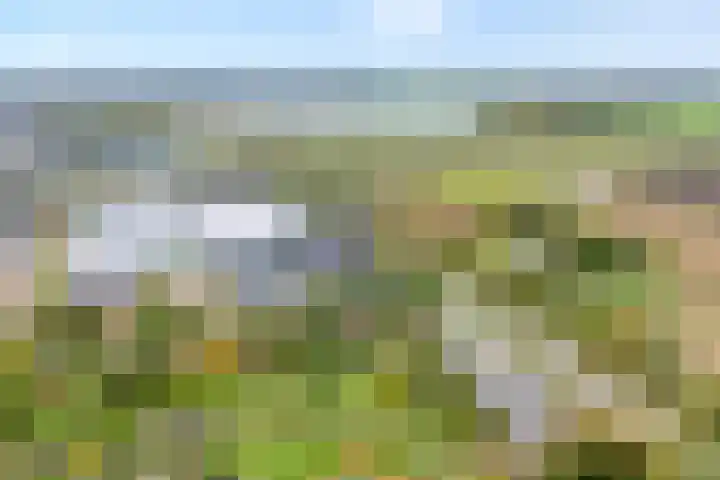 Ampère 7 Meppel thumbnail 6