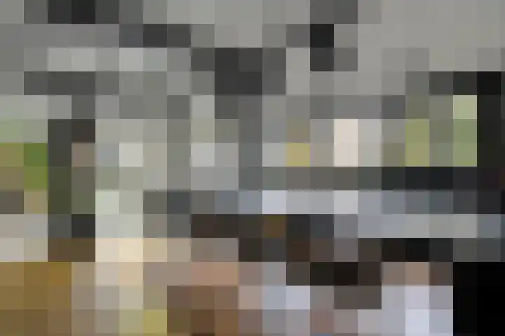 Ampère 7 Meppel thumbnail 60