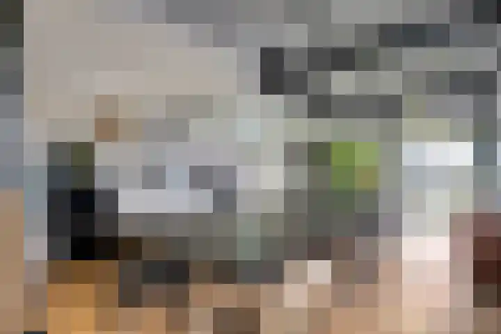 Ampère 7 Meppel thumbnail 61