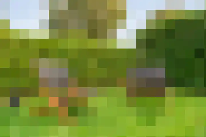 Ampère 7 Meppel thumbnail 62