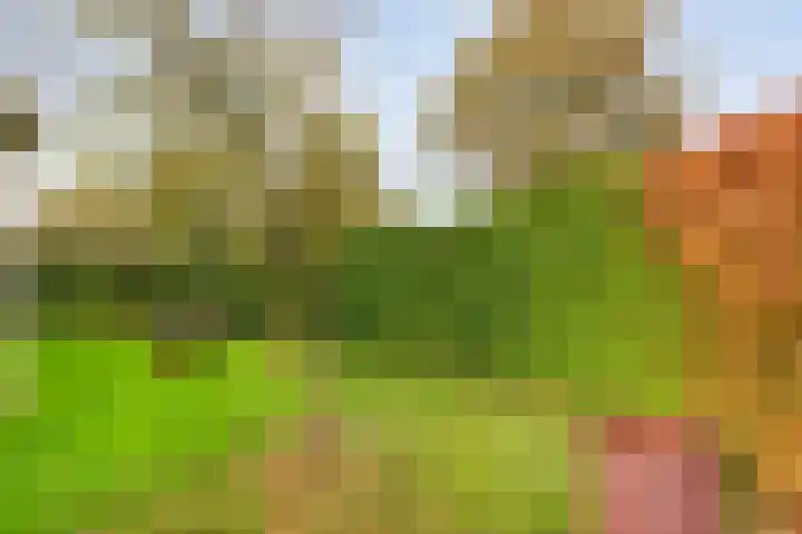 Ampère 7 Meppel thumbnail 63