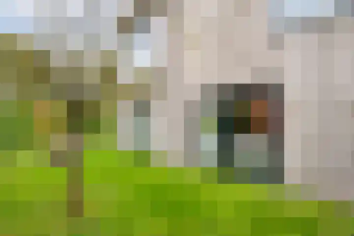 Ampère 7 Meppel thumbnail 64