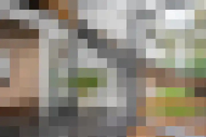 Ampère 7 Meppel thumbnail 8