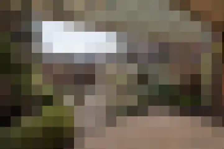 Ampèrelaan 14 Haarlem thumbnail 21