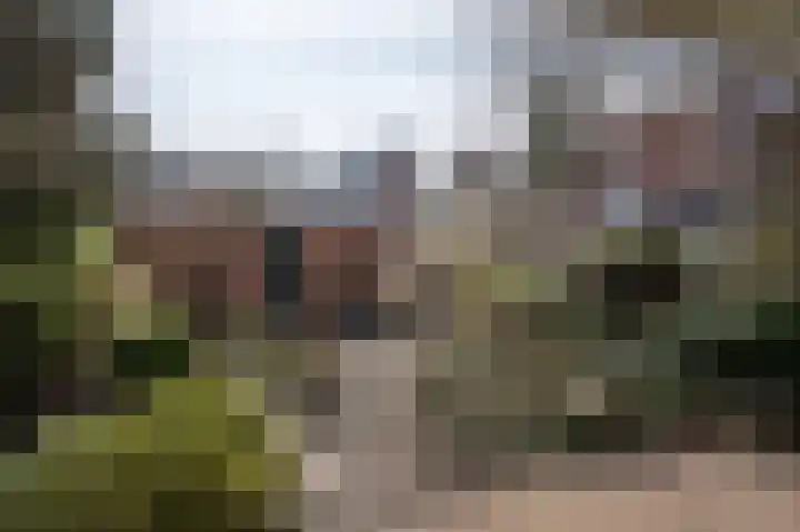 Ampèrelaan 14 Haarlem thumbnail 22
