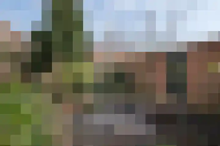Ampèrelaan 14 Haarlem thumbnail 23