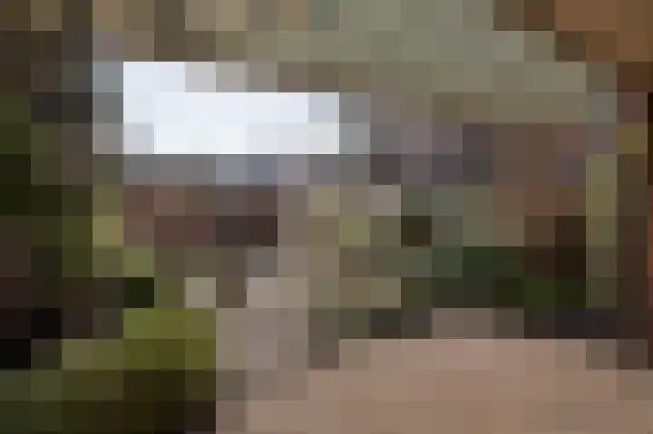 Ampèrelaan 14 Haarlem thumbnail 4