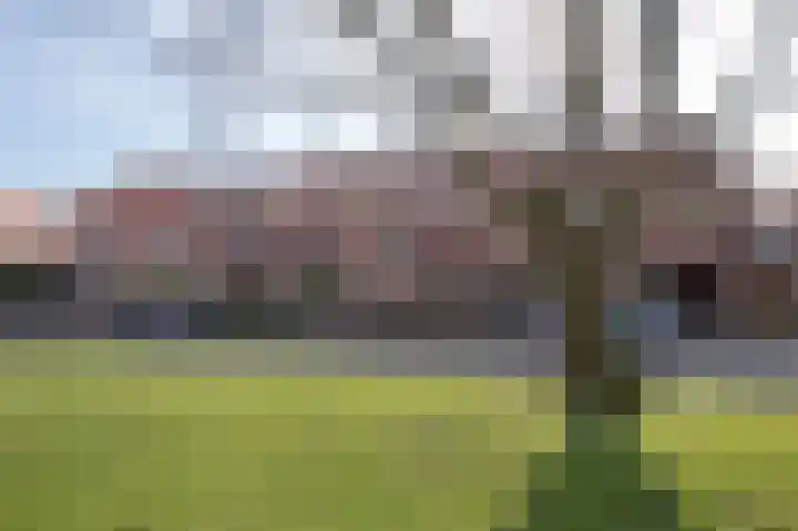 Ampèrelaan 14 Haarlem thumbnail 5