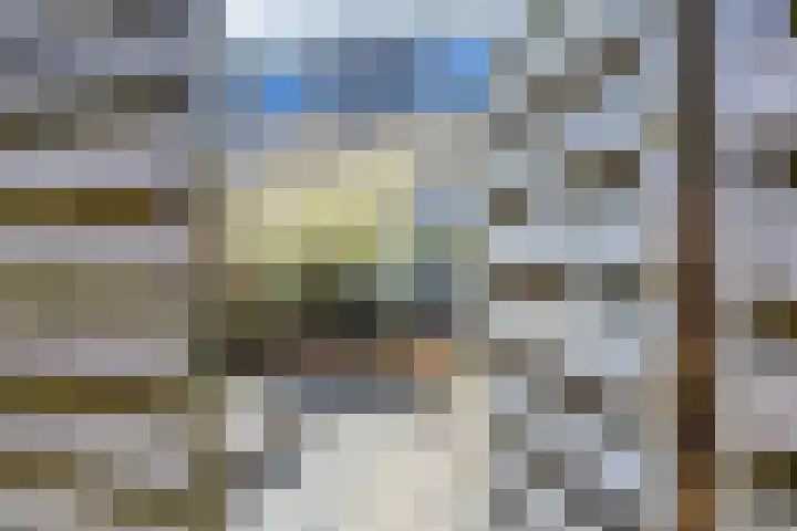 Ampèrelaan 19 Oudeschoot thumbnail 37