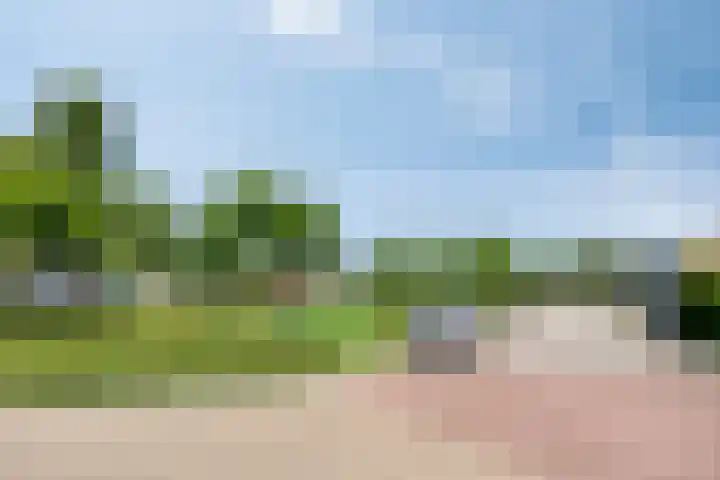 Ampèrelaan 19 Oudeschoot thumbnail 41