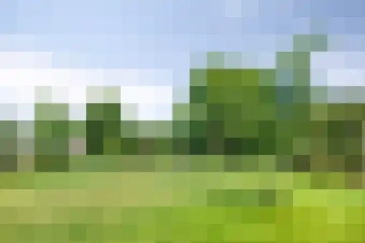 Ampèrelaan 19 Oudeschoot thumbnail 43