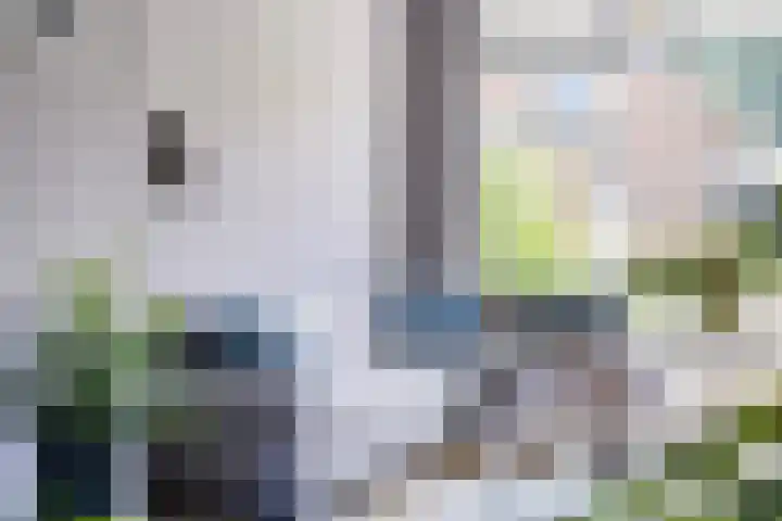 Ampèrelaan 19 Oudeschoot thumbnail 8