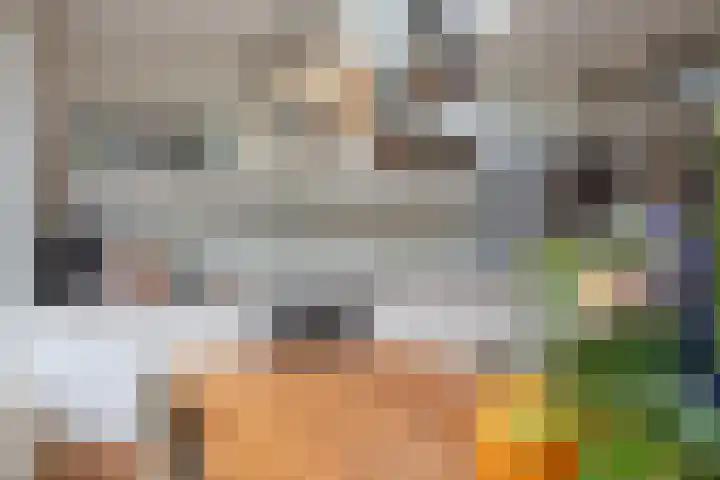 Ampèrelaan 27 Haarlem thumbnail 11